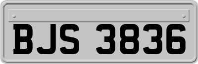 BJS3836