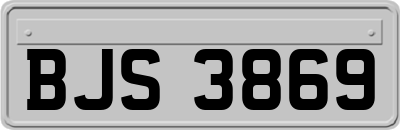 BJS3869
