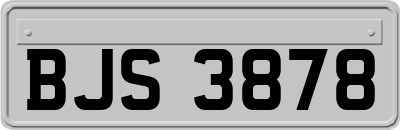 BJS3878