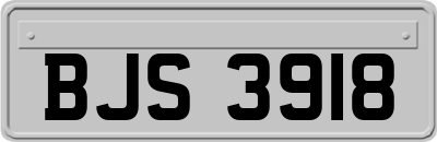 BJS3918