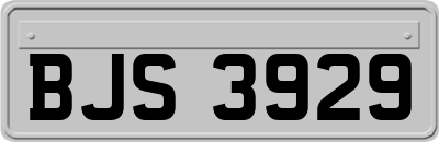 BJS3929