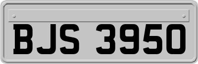 BJS3950