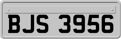 BJS3956
