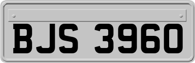 BJS3960