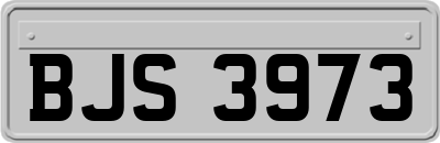 BJS3973