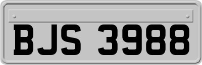 BJS3988