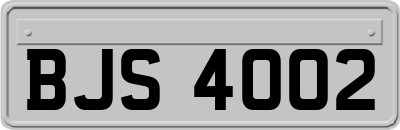 BJS4002