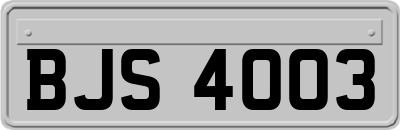 BJS4003