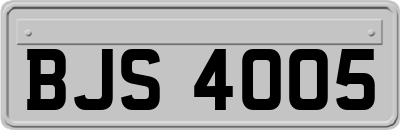 BJS4005