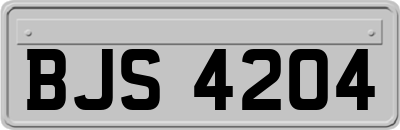 BJS4204
