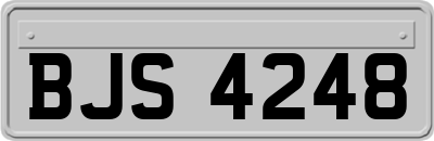 BJS4248