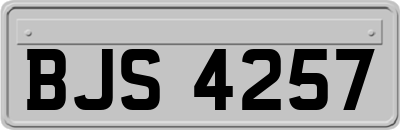BJS4257