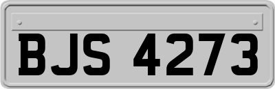 BJS4273