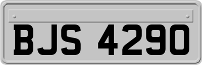 BJS4290