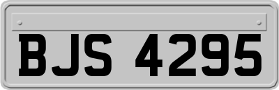 BJS4295