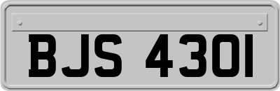 BJS4301