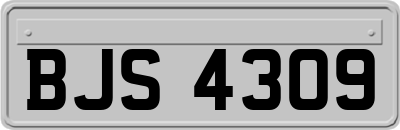 BJS4309