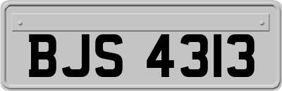 BJS4313