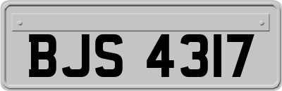 BJS4317