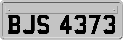 BJS4373