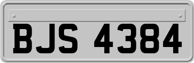 BJS4384