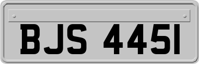 BJS4451