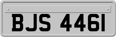 BJS4461