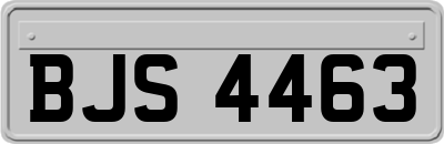 BJS4463