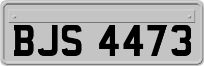 BJS4473