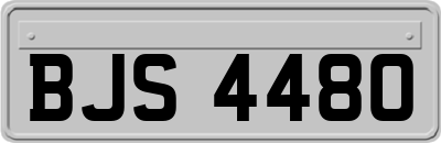 BJS4480