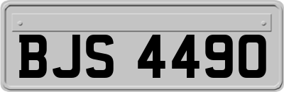BJS4490
