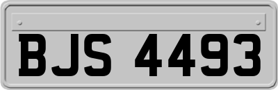 BJS4493