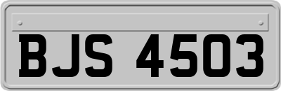 BJS4503