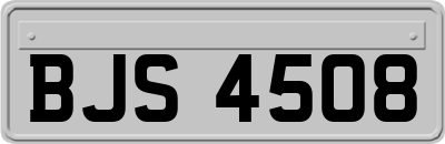 BJS4508