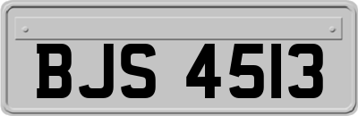BJS4513