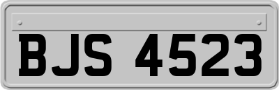 BJS4523
