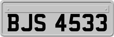 BJS4533
