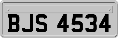BJS4534