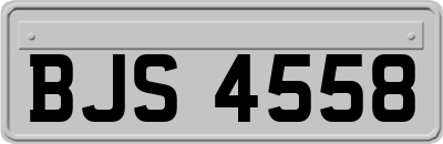 BJS4558