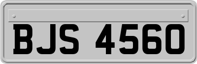 BJS4560