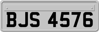 BJS4576
