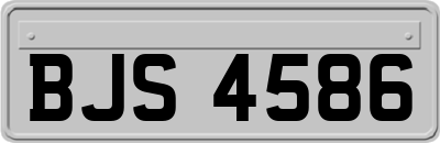 BJS4586