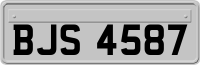 BJS4587
