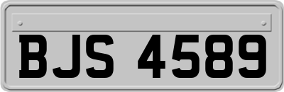 BJS4589