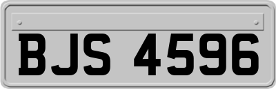 BJS4596