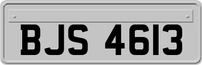 BJS4613