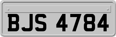 BJS4784