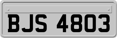 BJS4803