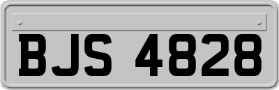 BJS4828