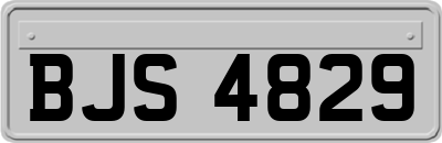 BJS4829